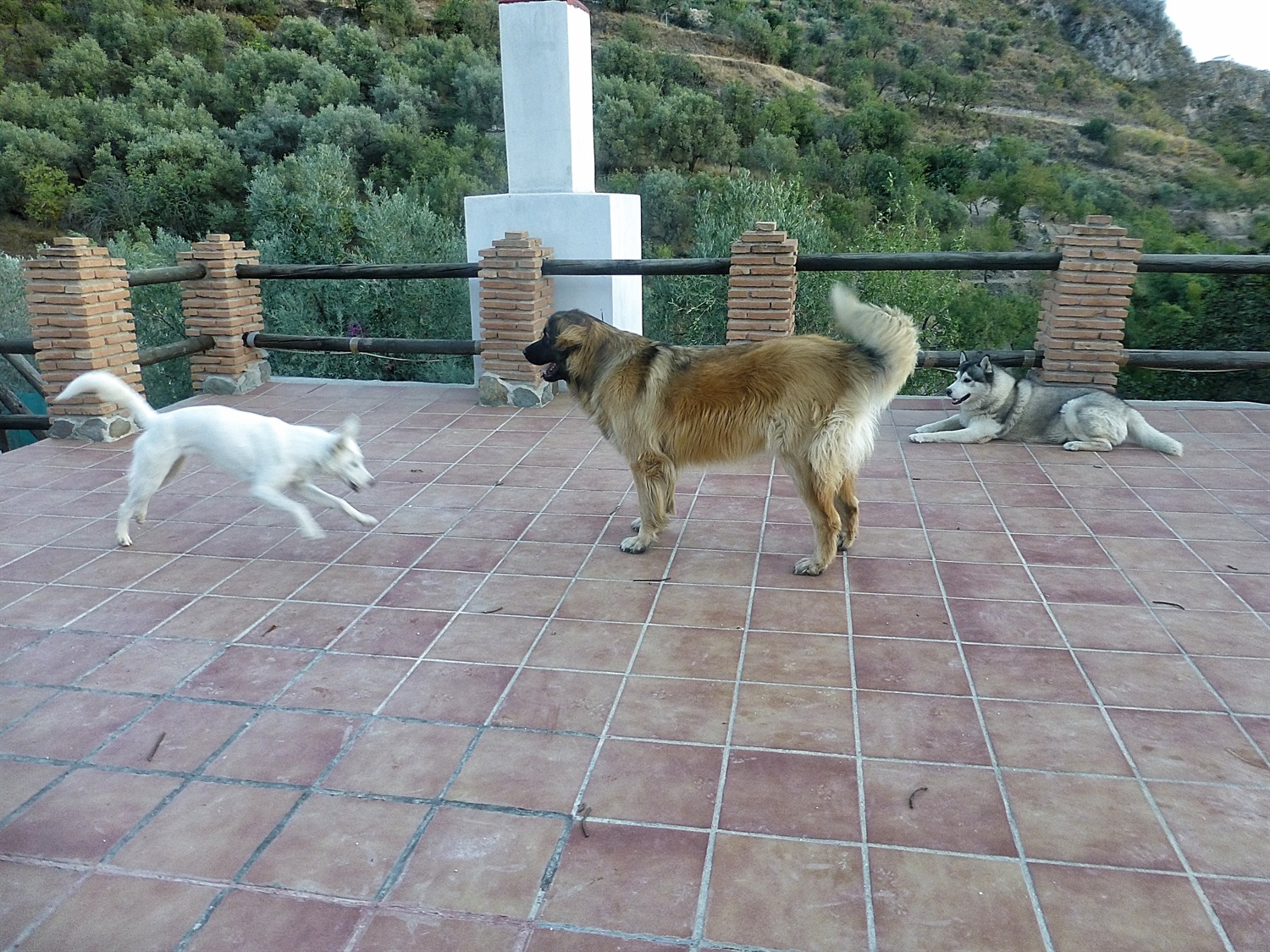 Rita showing her moves