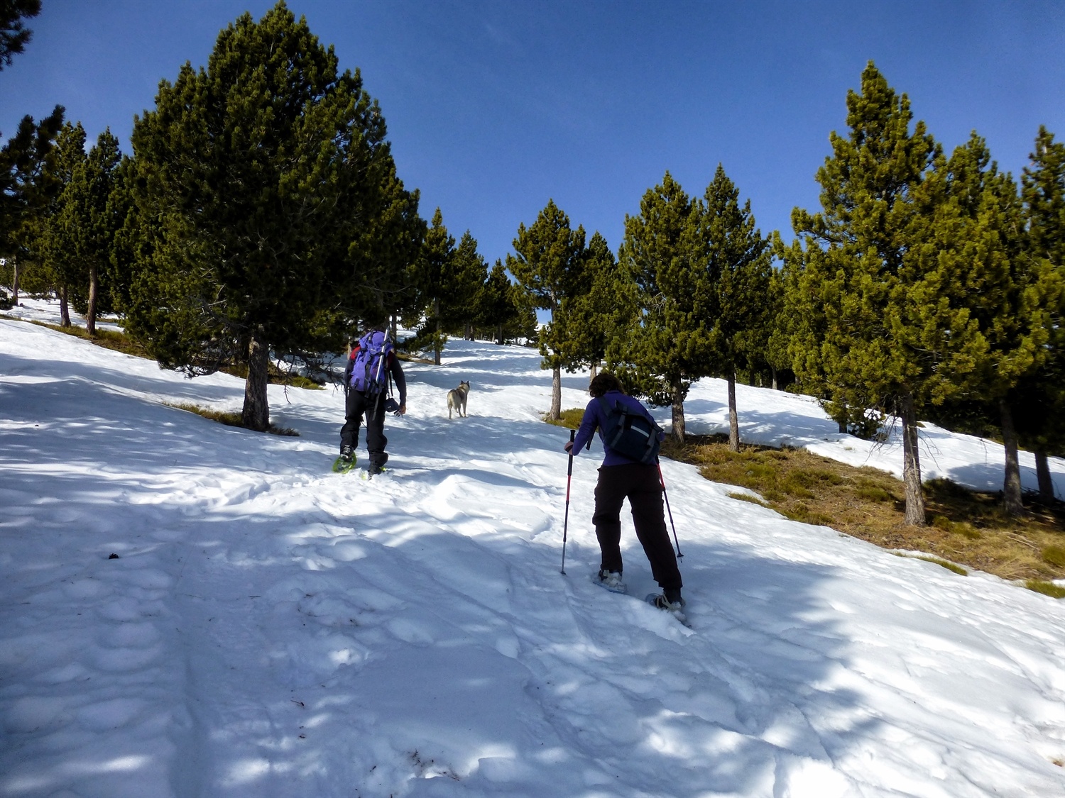 Follow me, I know the way, I've been here many times before