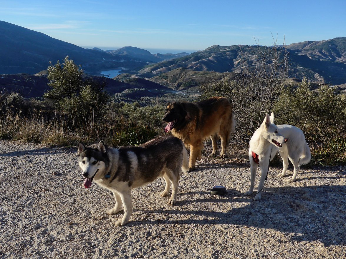 Arko had gone off but hu'mum wanted us to pose as you could see Africa, but you actually couldn't on the picture BOL